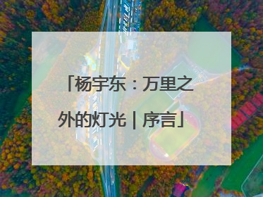 杨宇东：万里之外的灯光｜序言
