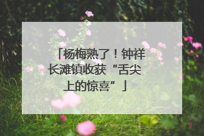 杨梅熟了！钟祥长滩镇收获“舌尖上的惊喜”