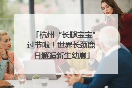 杭州“长腿宝宝”过节啦！世界长颈鹿日邂逅新生幼崽