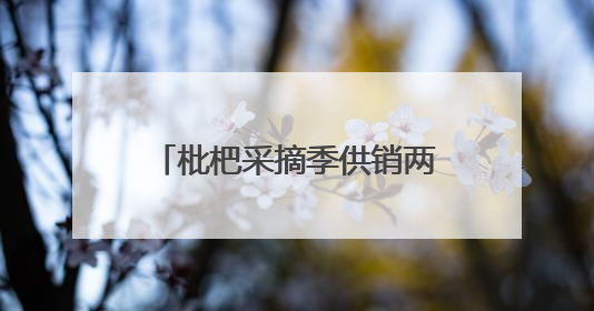 枇杷采摘季供销两旺 四川宝兴晚熟枇杷冷链发全国