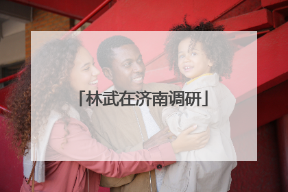 林武在济南调研
