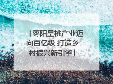 枣阳皇桃产业迈向百亿级 打造乡村振兴新引擎