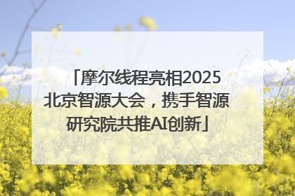 摩尔线程亮相2025北京智源大会，携手智源研究院共推AI创新