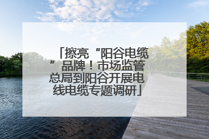 擦亮“阳谷电缆”品牌！市场监管总局到阳谷开展电线电缆专题调研