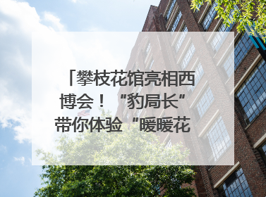 攀枝花馆亮相西博会！“豹局长”带你体验“暖暖花城”独特魅力｜西博视界