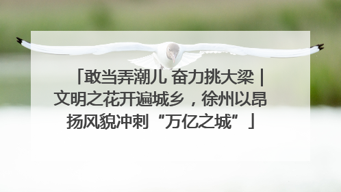 敢当弄潮儿 奋力挑大梁｜文明之花开遍城乡，徐州以昂扬风貌冲刺“万亿之城”