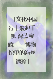 文化中国行｜浪起千帆 深蓝宝藏——博物馆里的海丝遗珍