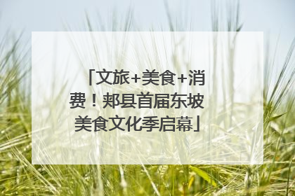 文旅+美食+消费！郏县首届东坡美食文化季启幕