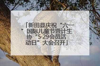新田县庆祝“六一”国际儿童节暨计生协“5·29会员活动日”大会召开