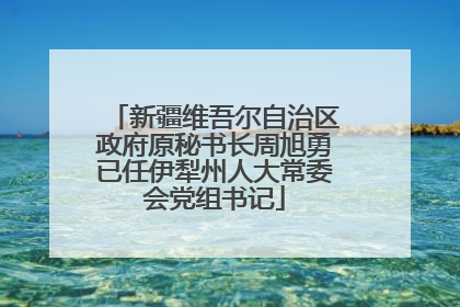 新疆维吾尔自治区政府原秘书长周旭勇已任伊犁州人大常委会党组书记