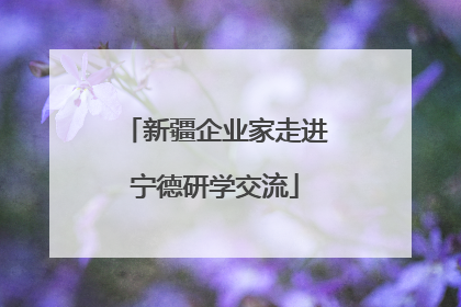 新疆企业家走进宁德研学交流