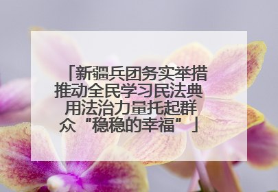 新疆兵团务实举措推动全民学习民法典 用法治力量托起群众“稳稳的幸福”