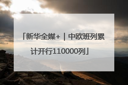 新华全媒+｜中欧班列累计开行110000列