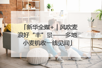 新华全媒+｜风吹麦浪好“丰”景——多地小麦机收一线见闻