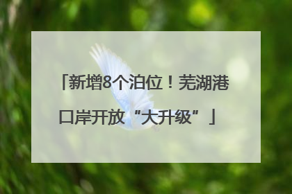 新增8个泊位！芜湖港口岸开放“大升级”
