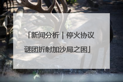新闻分析｜停火协议谜团折射加沙局之困