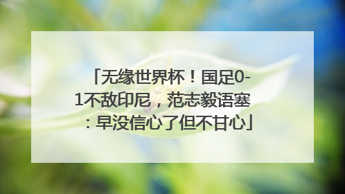 无缘世界杯！国足0-1不敌印尼，范志毅语塞：早没信心了但不甘心