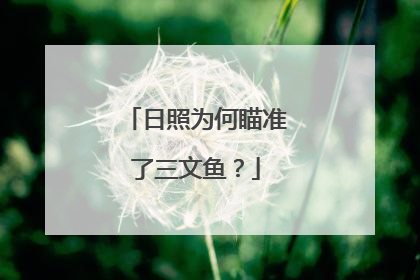 日照为何瞄准了三文鱼？