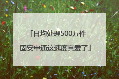 日均处理500万件 固安申通这速度真爱了