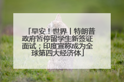 早安！世界丨特朗普政府暂停留学生新签证面试；印度宣称成为全球第四大经济体
