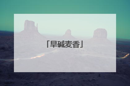 旱碱麦香