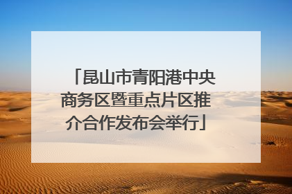 昆山市青阳港中央商务区暨重点片区推介合作发布会举行