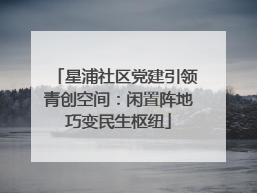 星浦社区党建引领青创空间：闲置阵地巧变民生枢纽