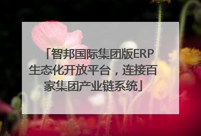 智邦国际集团版ERP生态化开放平台，连接百家集团产业链系统