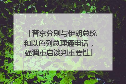 普京分别与伊朗总统和以色列总理通电话，强调重启谈判重要性