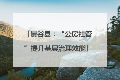 景谷县：“公房社管”提升基层治理效能