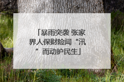 暴雨突袭 张家界人保财险闻“汛”而动护民生