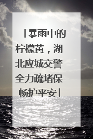 暴雨中的柠檬黄，湖北应城交警全力疏堵保畅护平安