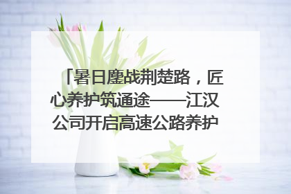 暑日鏖战荆楚路，匠心养护筑通途——江汉公司开启高速公路养护专项工程建设热潮