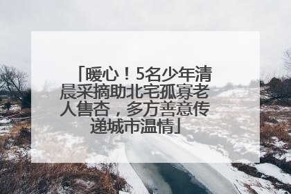 暖心！5名少年清晨采摘助北宅孤寡老人售杏，多方善意传递城市温情