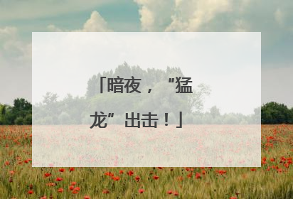 暗夜，“猛龙”出击！