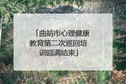 曲靖市心理健康教育第二次巡回培训圆满结束