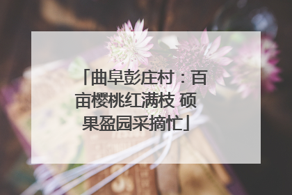 曲阜彭庄村：百亩樱桃红满枝 硕果盈园采摘忙