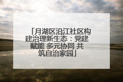 月湖区沿江社区构建治理新生态：党建赋能 多元协同 共筑自治家园