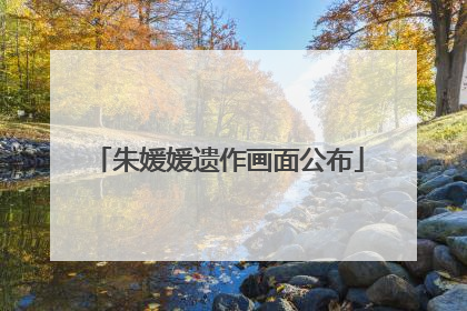 朱媛媛遗作画面公布