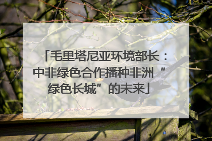 毛里塔尼亚环境部长：中非绿色合作播种非洲“绿色长城”的未来