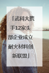 武科大携手12家头部企业成立耐火材料创新联盟