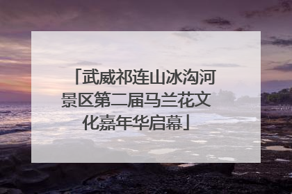 武威祁连山冰沟河景区第二届马兰花文化嘉年华启幕