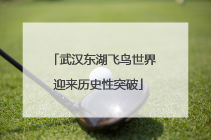 武汉东湖飞鸟世界迎来历史性突破