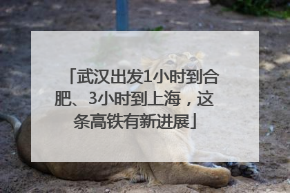 武汉出发1小时到合肥、3小时到上海，这条高铁有新进展