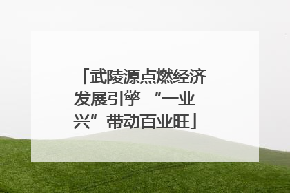 武陵源点燃经济发展引擎 “一业兴”带动百业旺