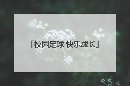 校园足球 快乐成长