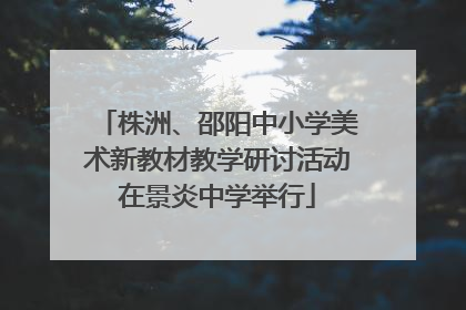 株洲、邵阳中小学美术新教材教学研讨活动在景炎中学举行