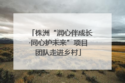 株洲“润心伴成长·同心护未来”项目团队走进乡村