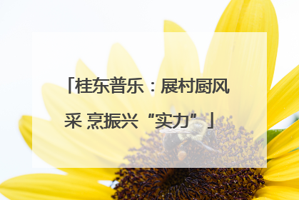 桂东普乐：展村厨风采 烹振兴“实力”
