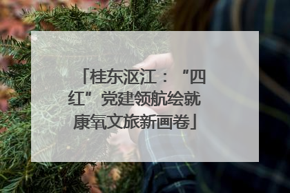 桂东沤江：“四红”党建领航绘就康氧文旅新画卷